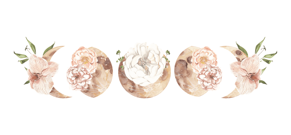 Seed cycling using the moon phases