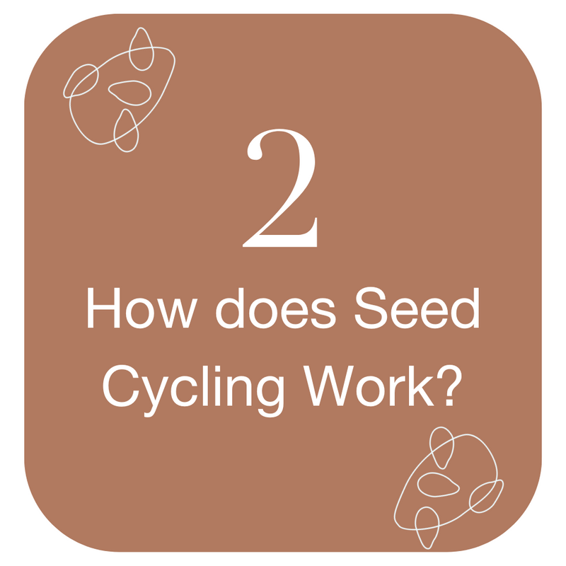 How does Seed Cycling Work?