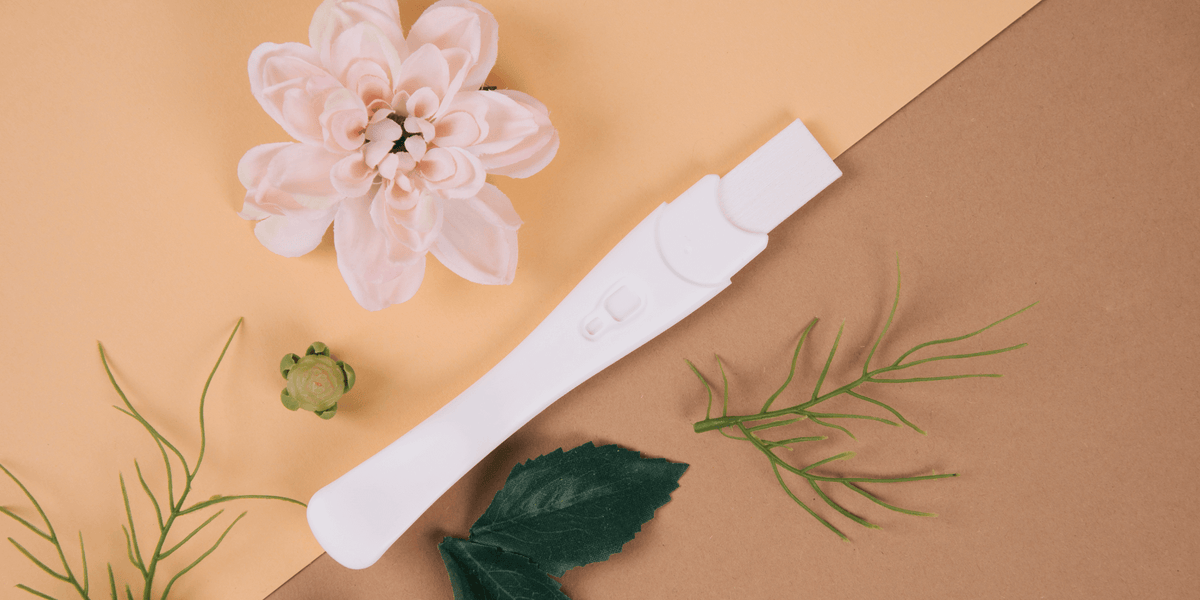 Nourishing Fertility: The Power of Seed Cycling