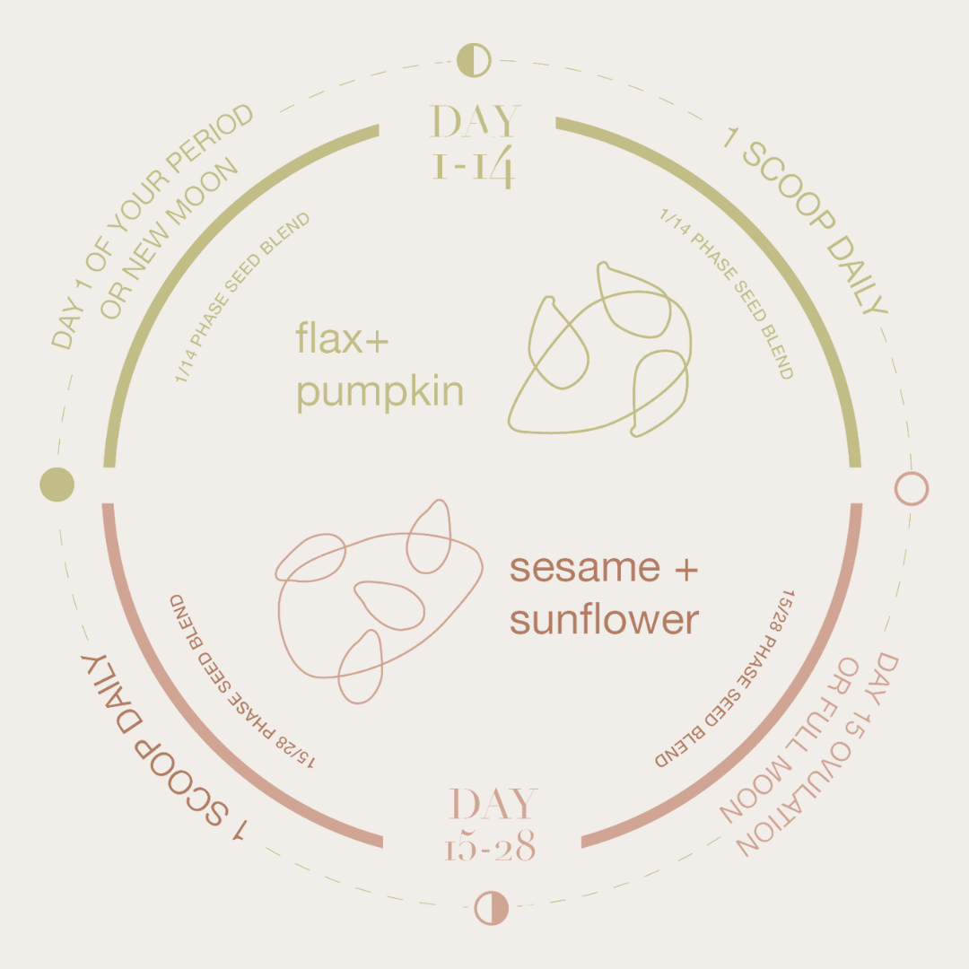 The Seed Cycle 1 Month Pack