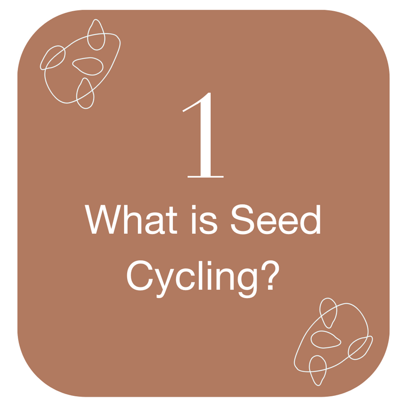 What is Seed Cycling?